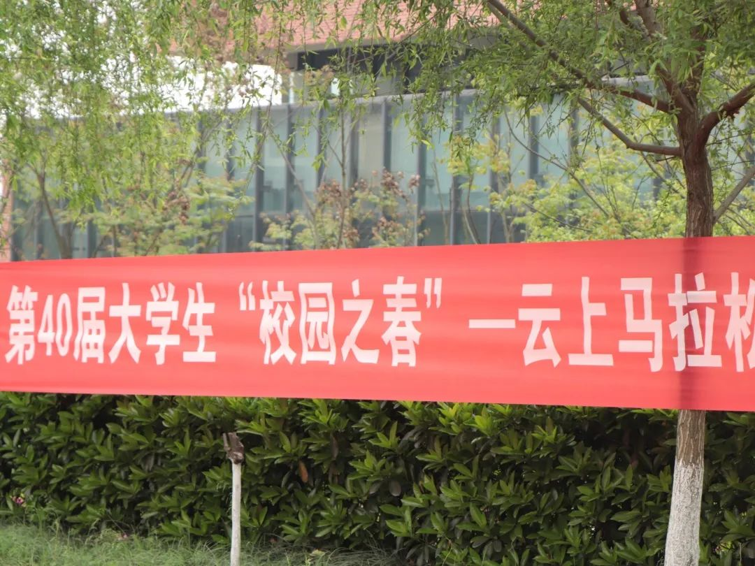 图片50