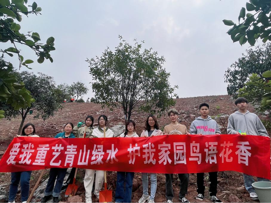 图片5