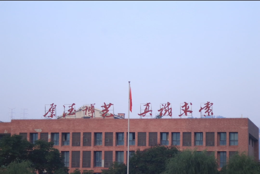 图片7