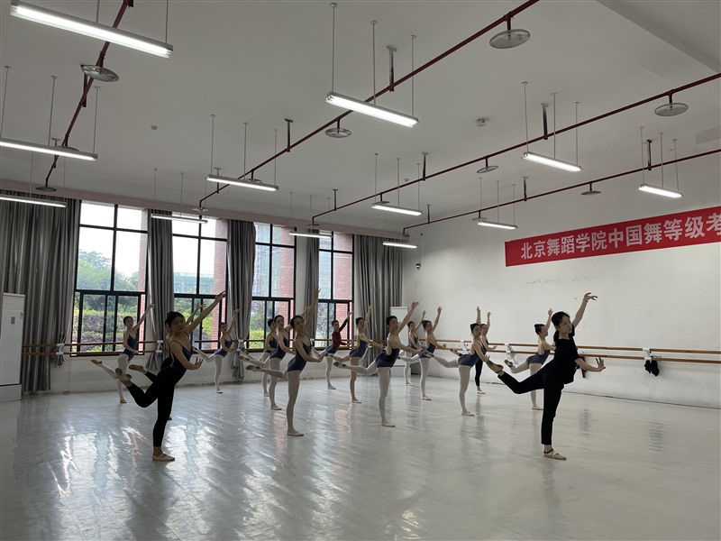 图片4