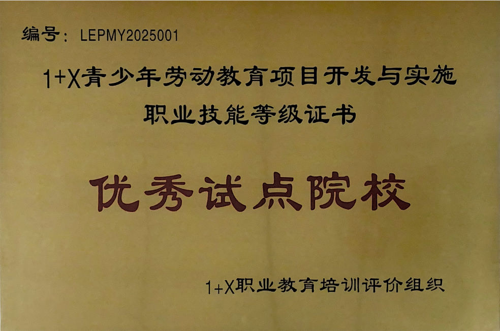 2025年优秀试点院校证书